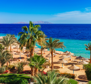 Stand am Meer mit Sonnenschirmen, Palmen und sonnigem Wetter