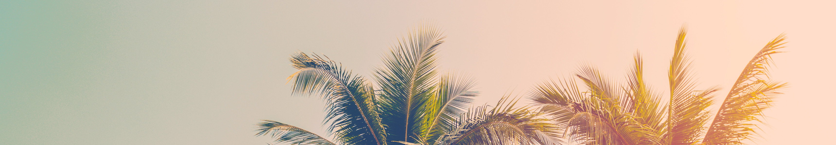 AdobeStock 107077028